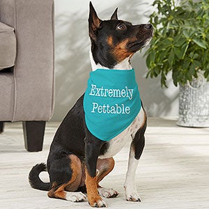 Pet Expressions Personalized Dog Bandana - Medium - 19041-M