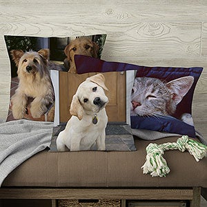 Custom Pet Gifts for Pets and Pet Owners