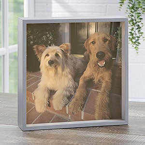 Personalized 10x10 Pet Photo LED Shadow Box - 20534-10x10