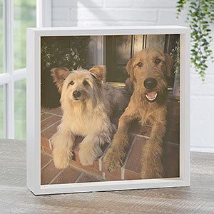 Personalized 10x10 Ivory Pet Photo LED Shadow Box - 20534-I-10x10