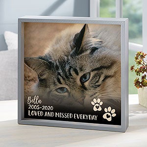 Pet Photo Memorial Personalized 10x10 Grey LED Shadow Box - 21192-G-10x10