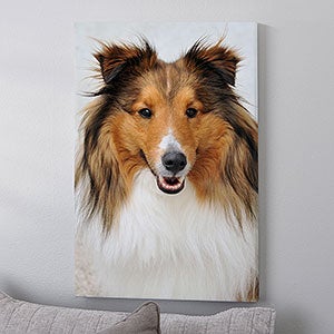 Pet Photo Memories Canvas Print - 20x30 - 24982-L