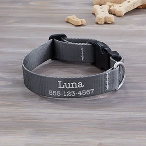Pet Initials Personalized Dog Collar - Small-Medium - 25532