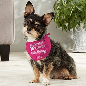 The Reason We Cant Have Nice Things Personalized Dog Bandana- Small - 27351