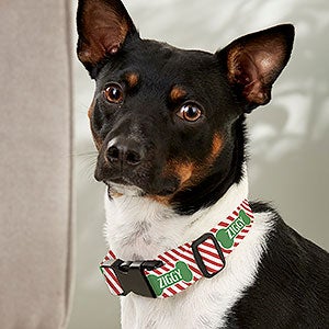 Striped Candy Cane Personalized Christmas Dog Collar - S/M - 27841