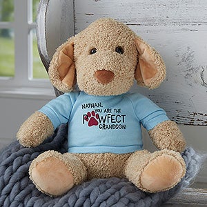 You are Pawfect Personalized Plush Dog Stuffed Animal - Blue - 30181-GB