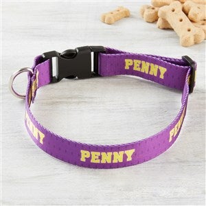 Athletic Personalized Dog Collar - Large-X-Large - 30876-L