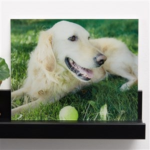Pet Personalized Glass Photo Print - Horizontal 8x10 - 33267H-8x10