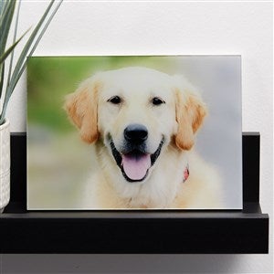 Pet Personalized Glass Photo Print - Horizontal 5x7 - 33267H-5x7