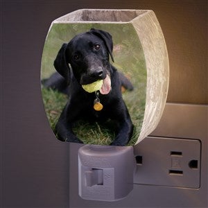 Pet Photo Personalized Frosted Night Light - 37132