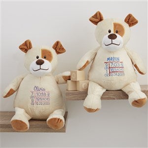 Birth Info Personalized 16