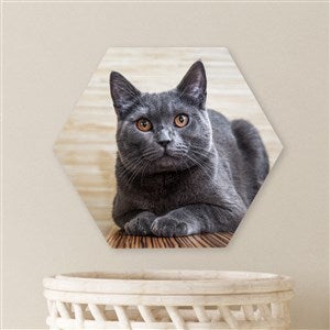 Pet Personalized Photo Tile- Hexagon 8x9 - 40144-H