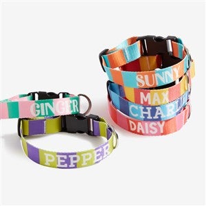 Bold Stripe Personalized Dog Collar - Small/Medium - 54888-S