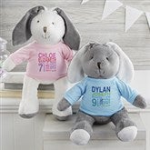 All About Baby Personalized Birth Stats Stuffed Animal Bunny - 26712