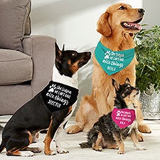 The Reason We Cant Have Nice Things Personalized Dog Bandanas - 27351