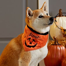 Light Up LED Pumpkin Personalized Halloween Dog Bandanas - 28217