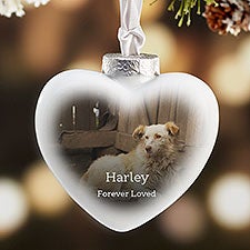 Personalized Engraved Pet Dog Memorial Always Remembered Forever Loved Medallion 