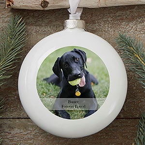 Pet Photo Personalized Deluxe Memorial Photo Ornament
