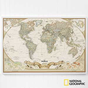 Personalized World Travel Map