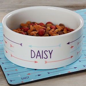 Modern Arrow Personalized Large Dog Bowl