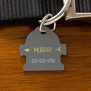 Fire Hydrant Custom Dog Tags - Modern Arrow