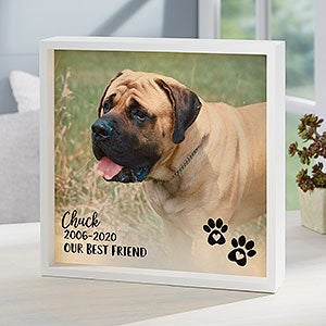 Pet Photo Memorial Personalized 10x10 Ivory LED Shadow Box