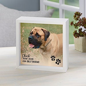 Pet Photo Memorial Personalized Ivory LED Shadow Box- 6"x 6" - #21192-I-6x6