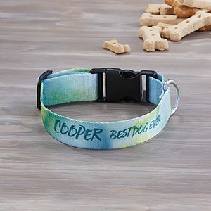 Watercolor Personalized Dog Collar - Small-Medium