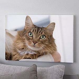 Pet Photo Memories Canvas Print - 16x20