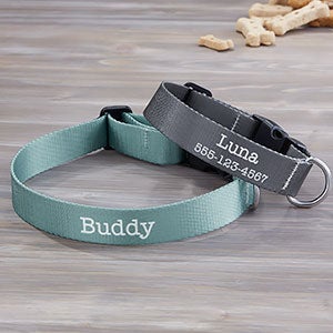 Pet Initials Personalized Dog Collars - 25532