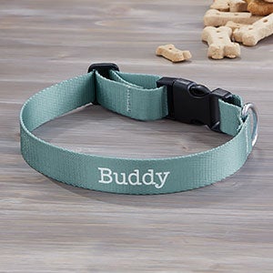 Pet Initials Personalized Dog Collar - Large-X-Large