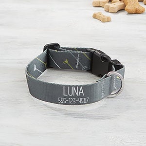Modern Arrow Personalized Dog Collar - Small-Medium