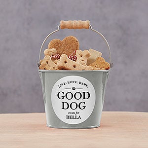 Pet Bucket Personalized Mini Metal Bucket - Silver