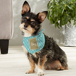 Pattern Play Personalized Dog Bandana - Small