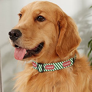 Striped Candy Cane Personalized Christmas Dog Collar - L/XL