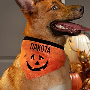 NEW GRREAT CHOICE LARGE LG L PET DOG PUMPKIN HALLOWEEN FLEECE COSTUME W/TAGS 