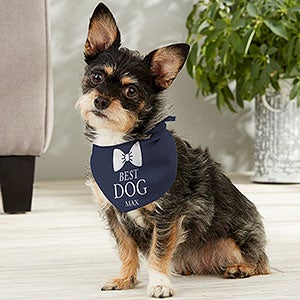 Engagement Dog Gift Embroidered Best Dog Reversible Black Dog Scarf with Snap Wedding Dog Bandana