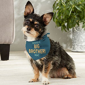 Promoted to Big Brother Personalized Dog Bandana - Small
