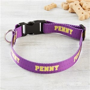 Athletic Personalized Dog Collar - Large-X-Large