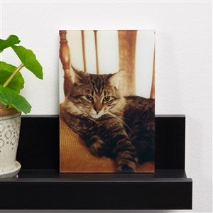 Pet Personalized Glass Photo Print - Vertical 4x6