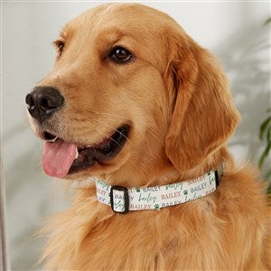 Pawfect Pet Personalized Dog Collars  - 41432