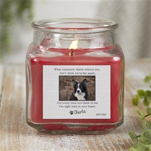 Pet Memorial Personalized 10 oz. Cinnamon Spice Candle Jar