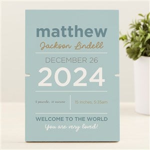 Baby Birth Info Personalized Story Board Plaque