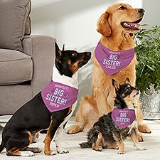 Promoted to Big Sister Personalized Dog Bandanas - 30263