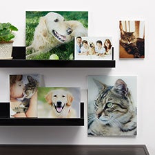 Pet Personalized Glass Photo Prints - 33267