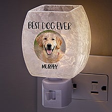 Pet Photo Message Personalized Frosted Night Light  - 37130