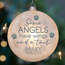 Personalized Lightable Frosted Glass Ornament - Some Angels Have Wings And A Tail - 37237