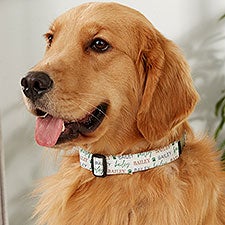 Pawfect Pet Personalized Dog Collars  - 41432