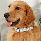 Pawfect Pet Personalized Dog Collars - 41432