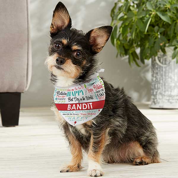 5 sizes XS-XL Birthday Wishes Dog Bandana